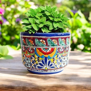 Op de afbeelding: Een levendige, handbeschilderde keramische bloempot gevuld met weelderige groene planten. De pot heeft een kleurrijk bloemmotief met rode, gele, blauwe en groene accenten. De pot staat op een houten oppervlak met een vage achtergrond.