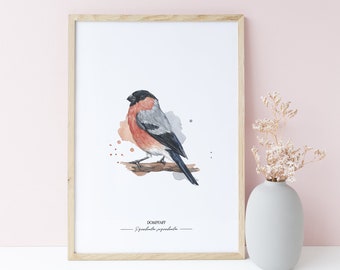 GARDENBIRDS: BULLFINCH // Pyrrhula pyrrhula // Fine-Art-Print of watercolor illustration / Poster A4 size