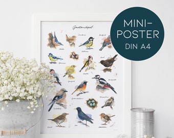 GARDENBIRDS MINI-POSTER // 16 lovely bird watercolor illustrations / Poster size 21x30 cm