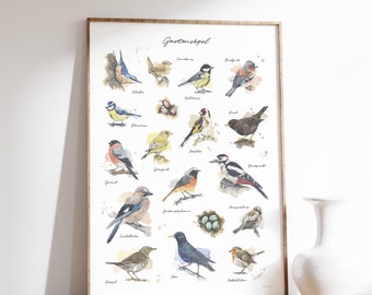 GARTENVÖGEL POSTER - Kombination meiner Vogel-Aquarell-Illustrationen // Poster Größe 50 x 70 cm