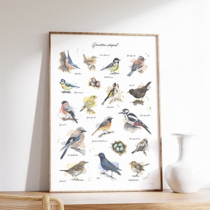 GARDENBIRDS POSTER // 16 lovely bird watercolor illustrations / Poster size 50 x 70  cm