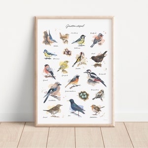 GARTENVÖGEL POSTER Kombination meiner Vogel-Aquarell-Illustrationen // Poster Größe 50 x 70 cm Bild 2