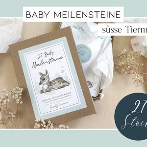 BABY MEILENSTEINE - WALDTIERE / 27 liebevoll gestaltete Meilensteinkarten für die erste Zeit mit dem Baby, mit extra vielen süßen Waldtieren