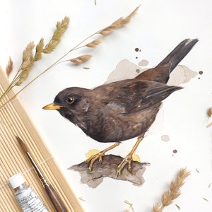 GARTENVÖGEL POSTER Kombination meiner Vogel-Aquarell-Illustrationen // Poster Größe 50 x 70 cm Bild 9