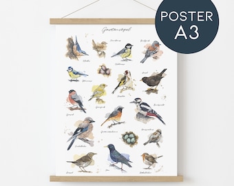 GARTENVÖGEL  - Hochwertiger Kunstdruck - Kombination meiner Vogel-Aquarell-Illustrationen // Größe Din A3