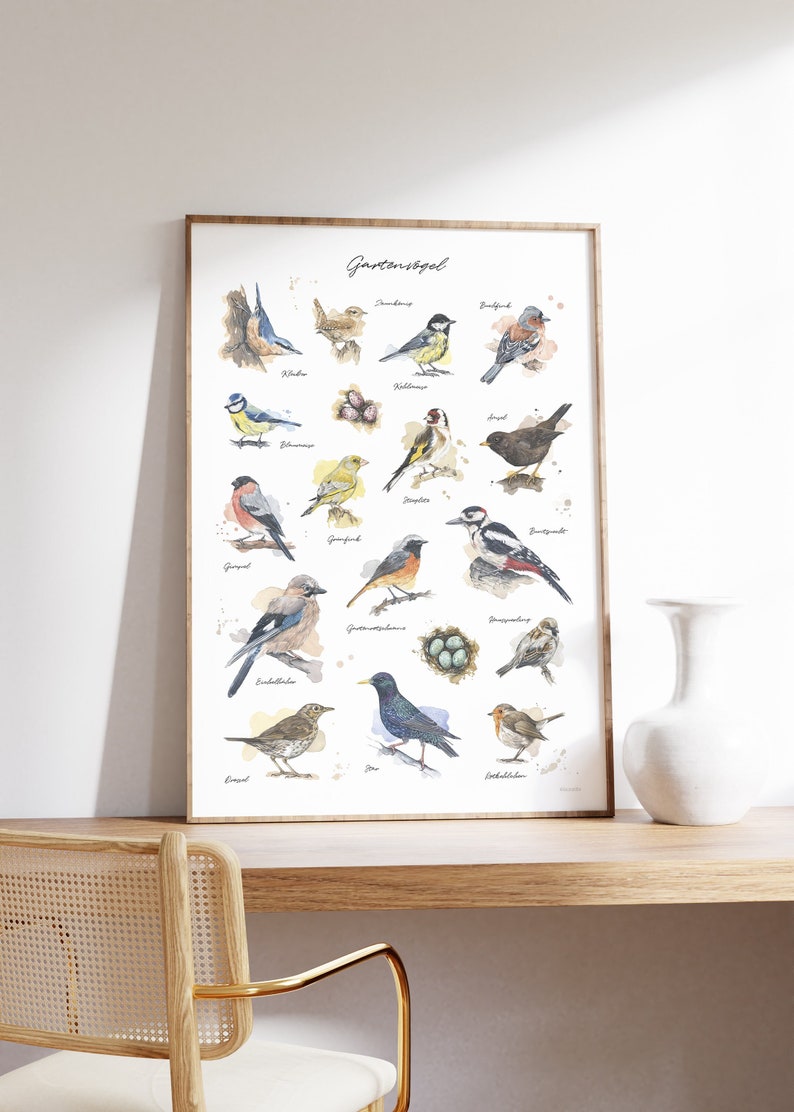 GARTENVÖGEL POSTER Kombination meiner Vogel-Aquarell-Illustrationen // Poster Größe 50 x 70 cm Bild 1