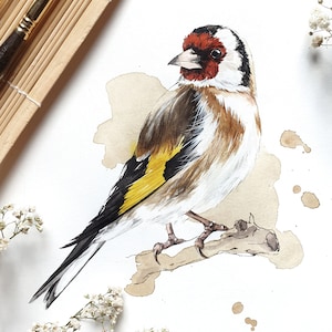 GARTENVÖGEL POSTER Kombination meiner Vogel-Aquarell-Illustrationen // Poster Größe 50 x 70 cm Bild 8
