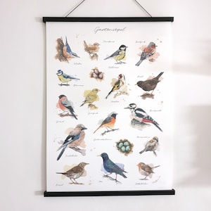 GARTENVÖGEL POSTER Kombination meiner Vogel-Aquarell-Illustrationen // Poster Größe 50 x 70 cm Bild 4