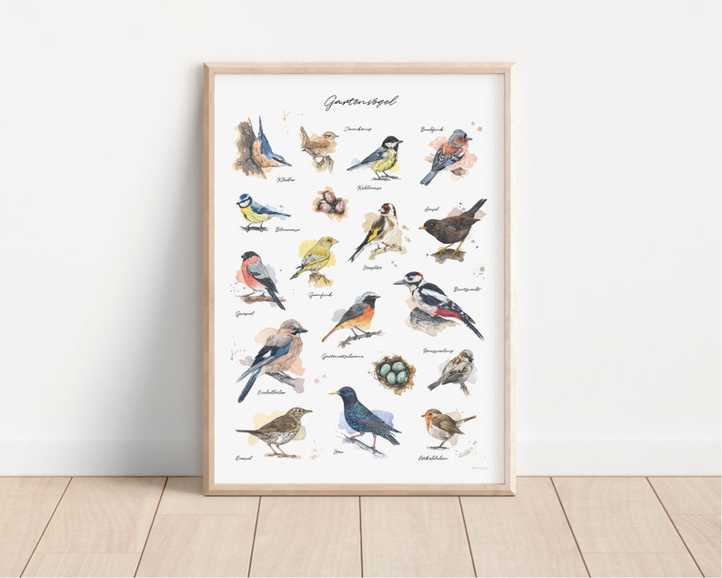 GARTENVÖGEL POSTER Kombination meiner Vogel-Aquarell-Illustrationen // Poster Größe 50 x 70 cm Bild 2