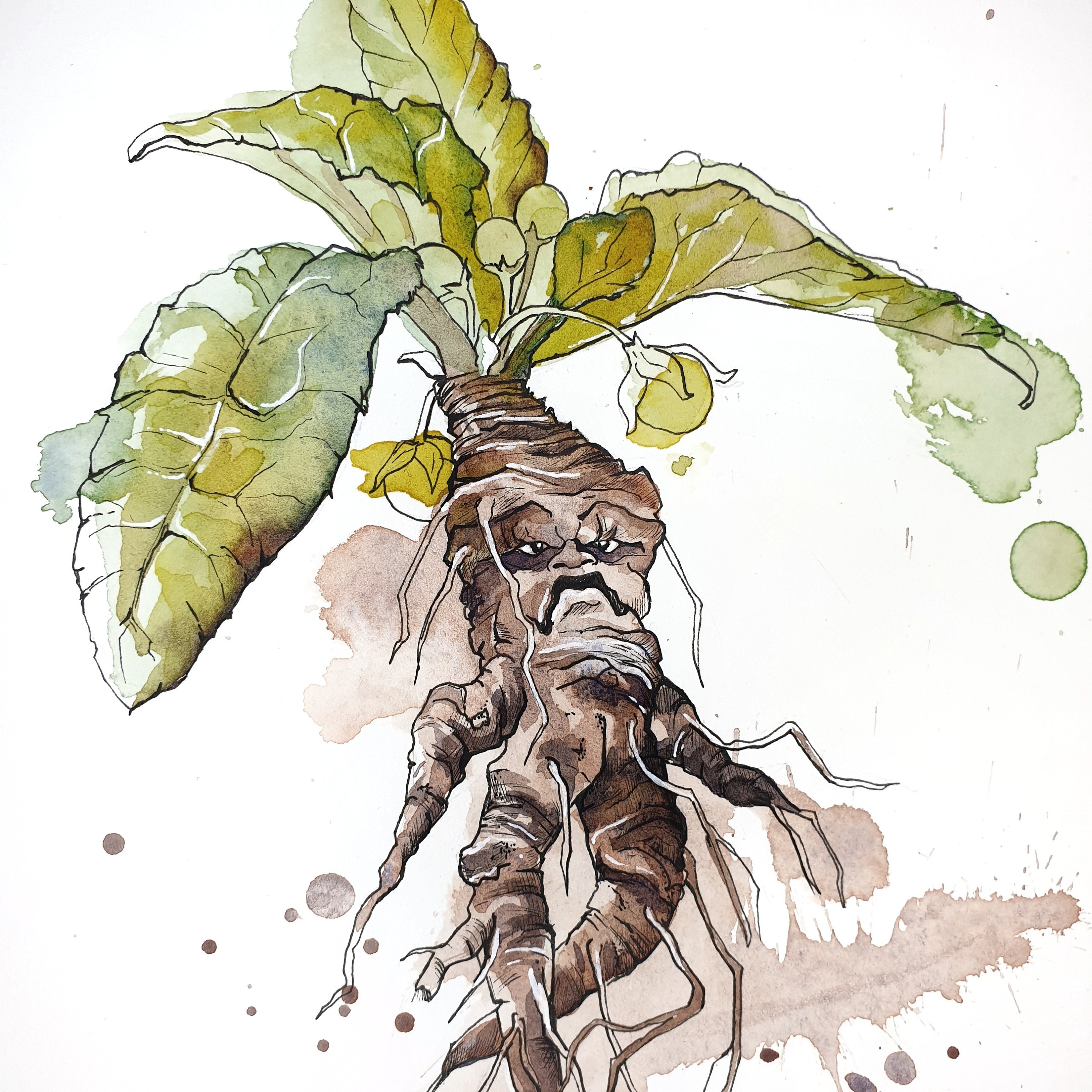 Mandrake Roots Hand Drawn Character Stock Illustration - Download