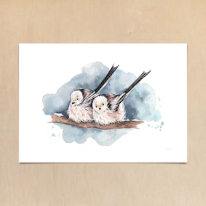 GARTENVÖGEL: KOHLMEISE - Parus major // Kunstdruck meiner Aquarell-Illustration // Poster Größe A4