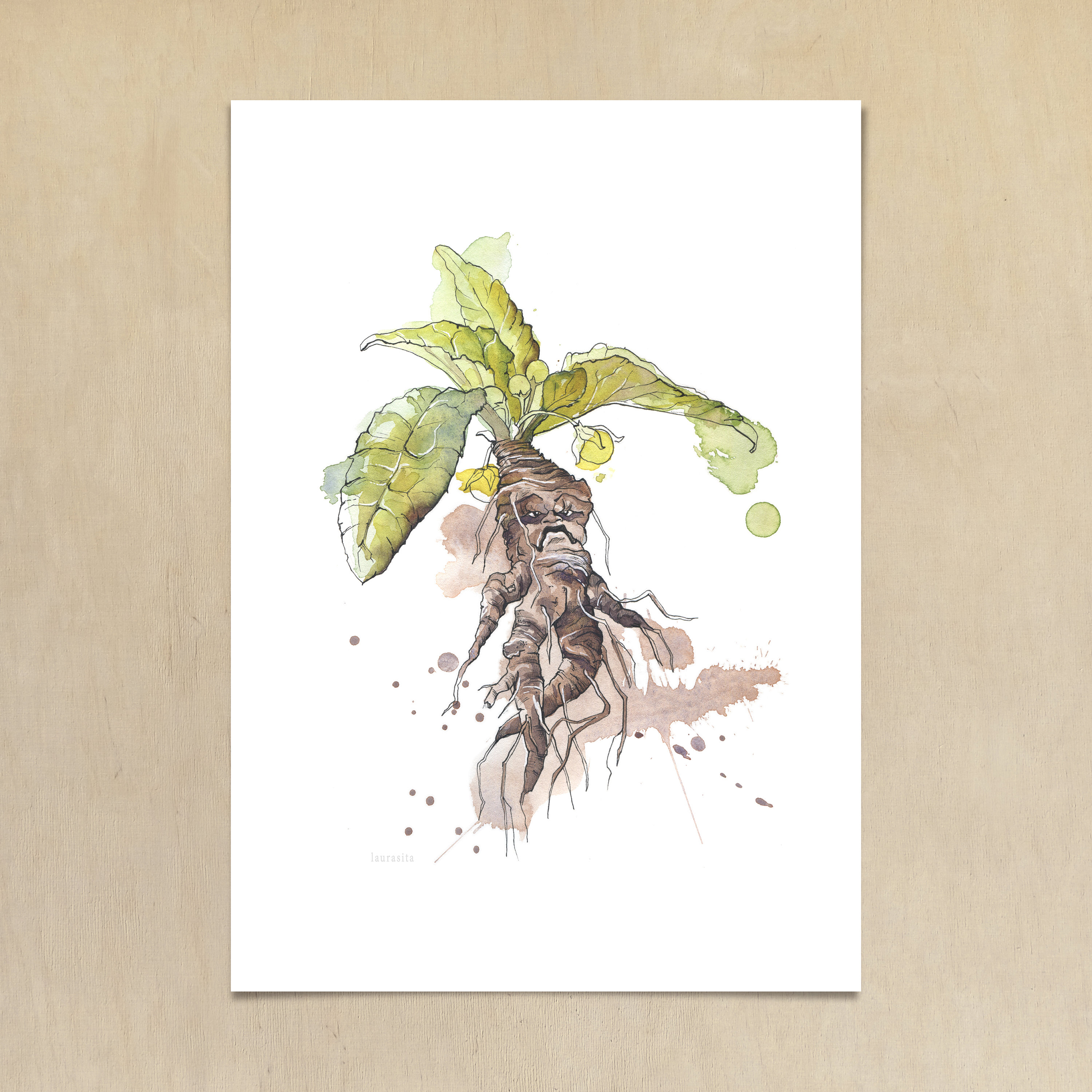 Mandrake prints Botanical illustration A4 -  Portugal