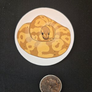 May include: A circular sticker featuring a coiled yellow and tan snake with a patterned skin design. The snake is depicted in a resting position. A silver-colored United States quarter coin is placed below the sticker for scale reference.