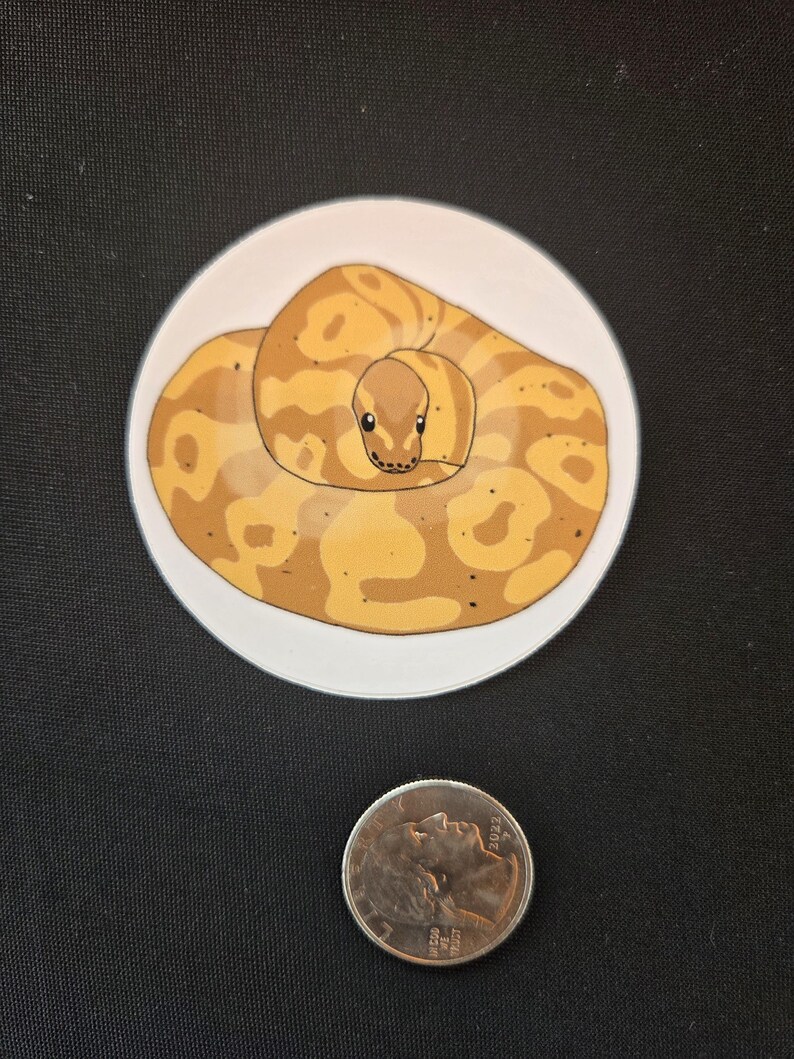 May include: A circular sticker featuring a coiled yellow and tan snake with a patterned skin design. The snake is depicted in a resting position. A silver-colored United States quarter coin is placed below the sticker for scale reference.