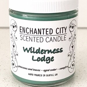 Disney Parks Scented Candle 8 oz 100% Soy Wax Candles Splash Mountain
