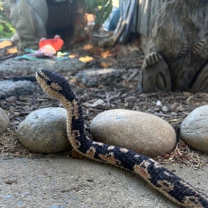 Crochet Ball Python