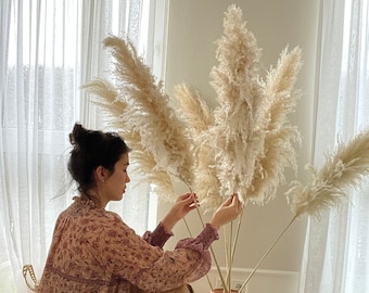 Luxury XL fluffy pampas grass, large pampas grass naturally dried, pampas frond, dried flower, fluffy pampas grass boho CREAM 120 cm