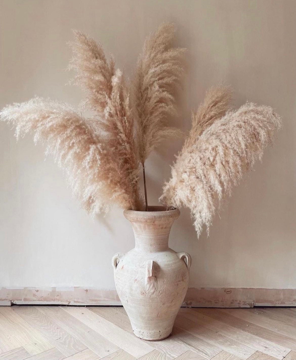 Luxury XL Fluffy Pampas Grass Large Pampas Grass Naturally Etsy