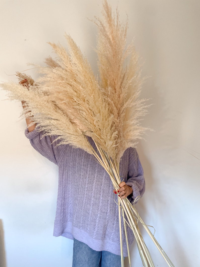 Fluffy pampas grass in natural colors, naturally dried, pampas in cream, dried flower decoration image 1