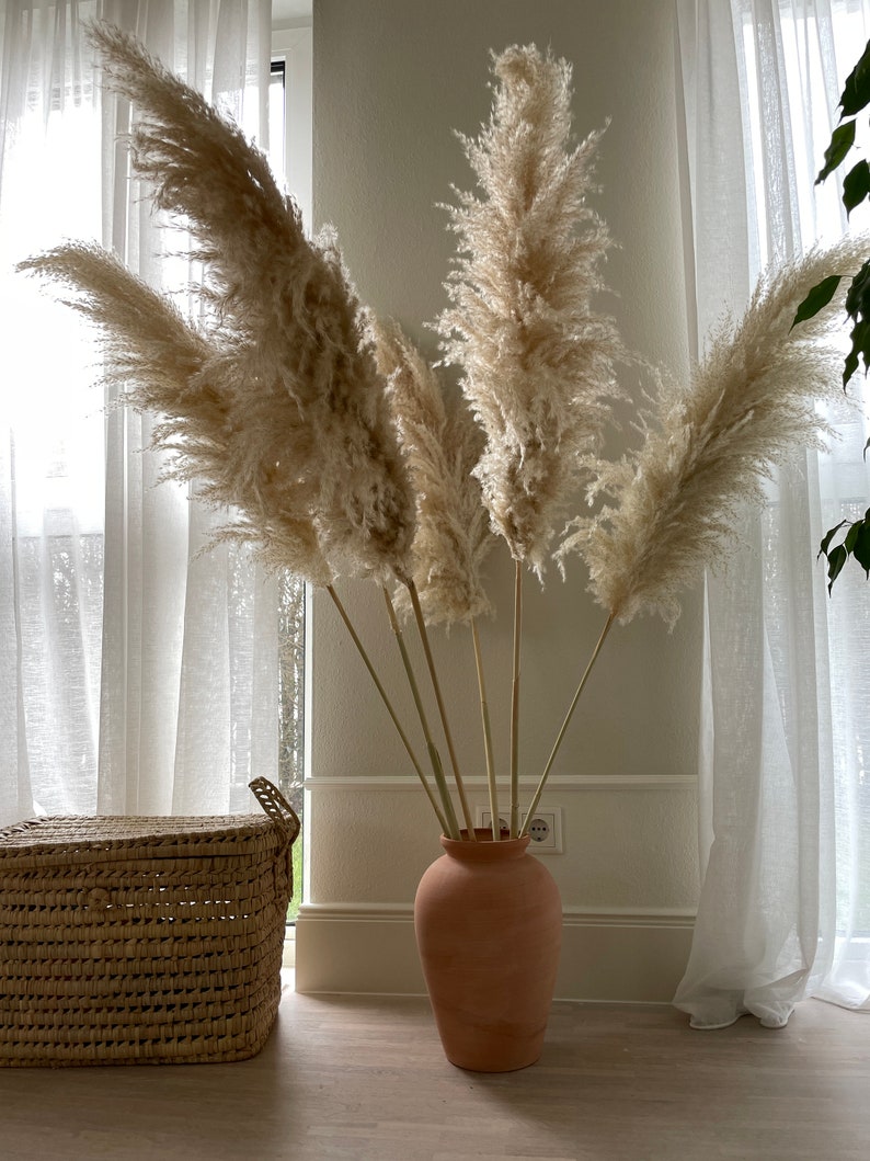 Luxury XL Fluffy Pampas Grass Large Pampas Grass Naturally Etsy