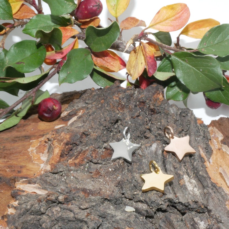 Make a wish, Stern am Himmel, personalisierter Anhänger mit Gravur, passender Kette, Gold Roségold, Silber, Charm, Gravurplatte Bild 9