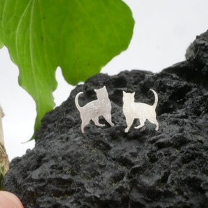Katze  Ohrstecker , Silber 925,  in einer  Geschenkkarte