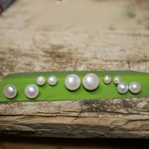 Echte Perlen 4,6,8, 10mm wahlweise, mit Edelstahl Silber oder Titan stift, Perlenstecker, Süßwasserperlen, Ohrstecker, off white , Bild 8
