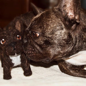 Hand-felted darling according to photo template (dog, cat, mouse)