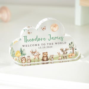 Personalised New Baby Gift Plaque, Welcome to the World Plaque, Woodland Gift, Gift for Baby, Cloud Plaque, Congrats Gift, New Parents