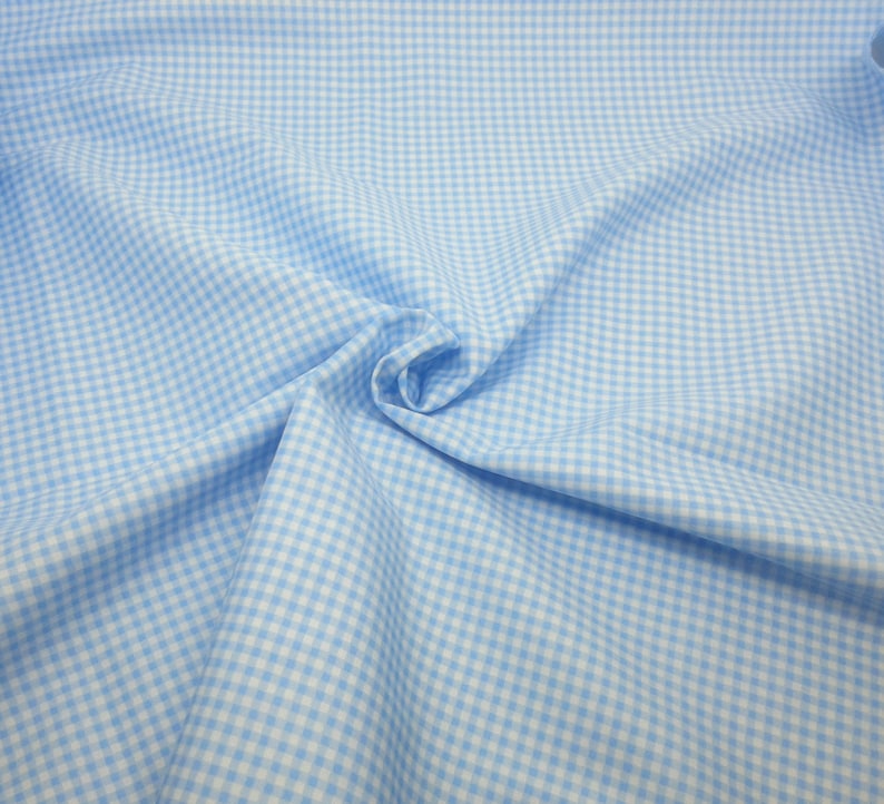 May include: A light blue and white gingham fabric with a small checkered pattern.