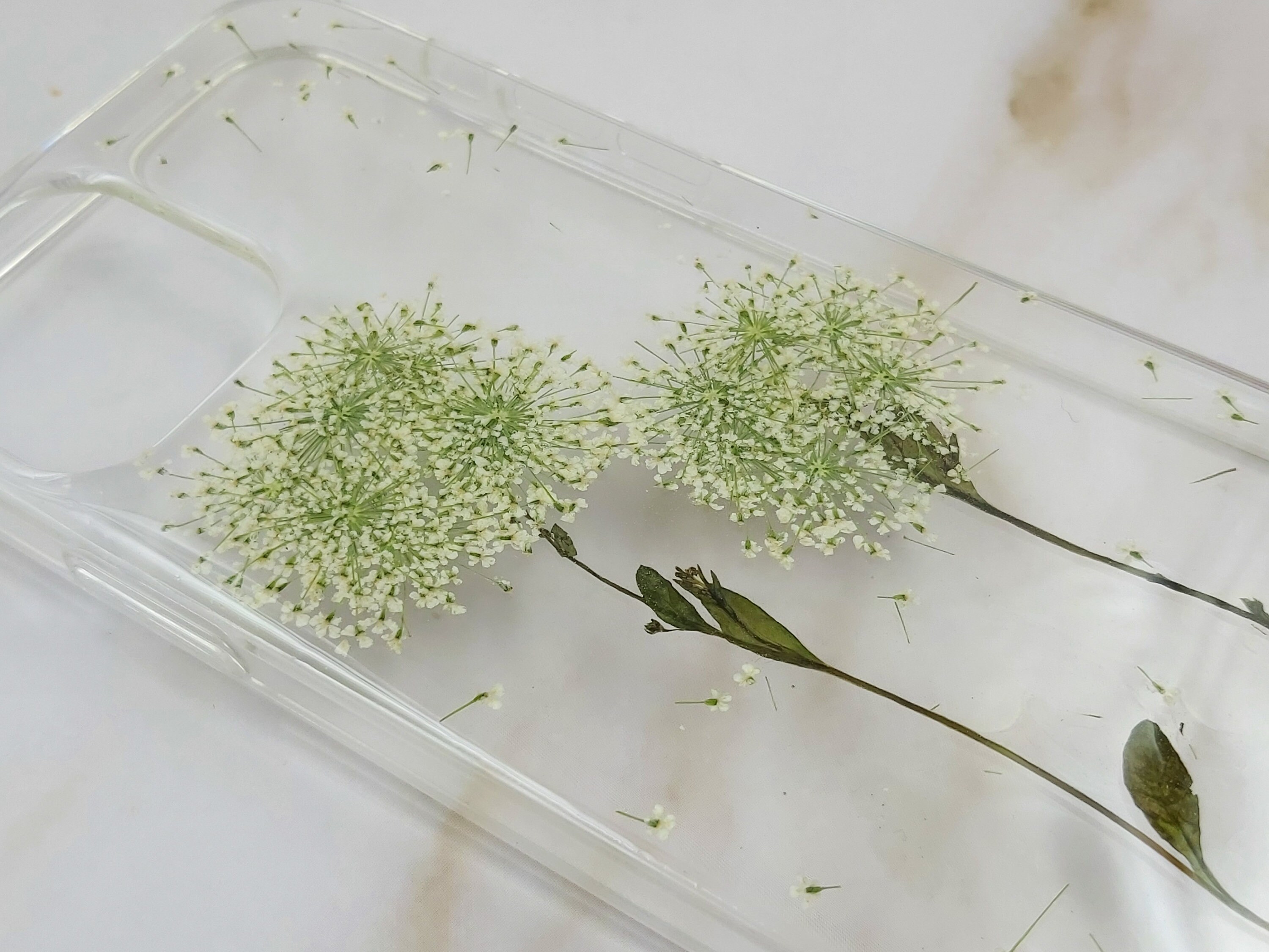 Dandelion Pressed Dried Real Flower Natural Handmade Clear Etsy