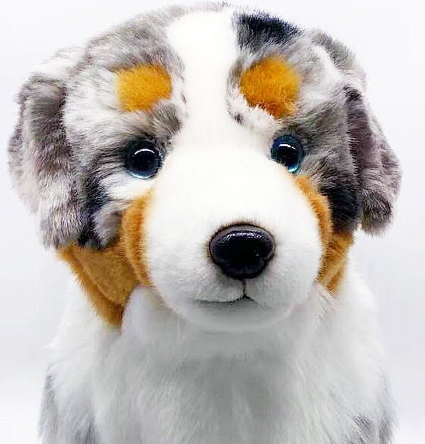australian shepherd plush