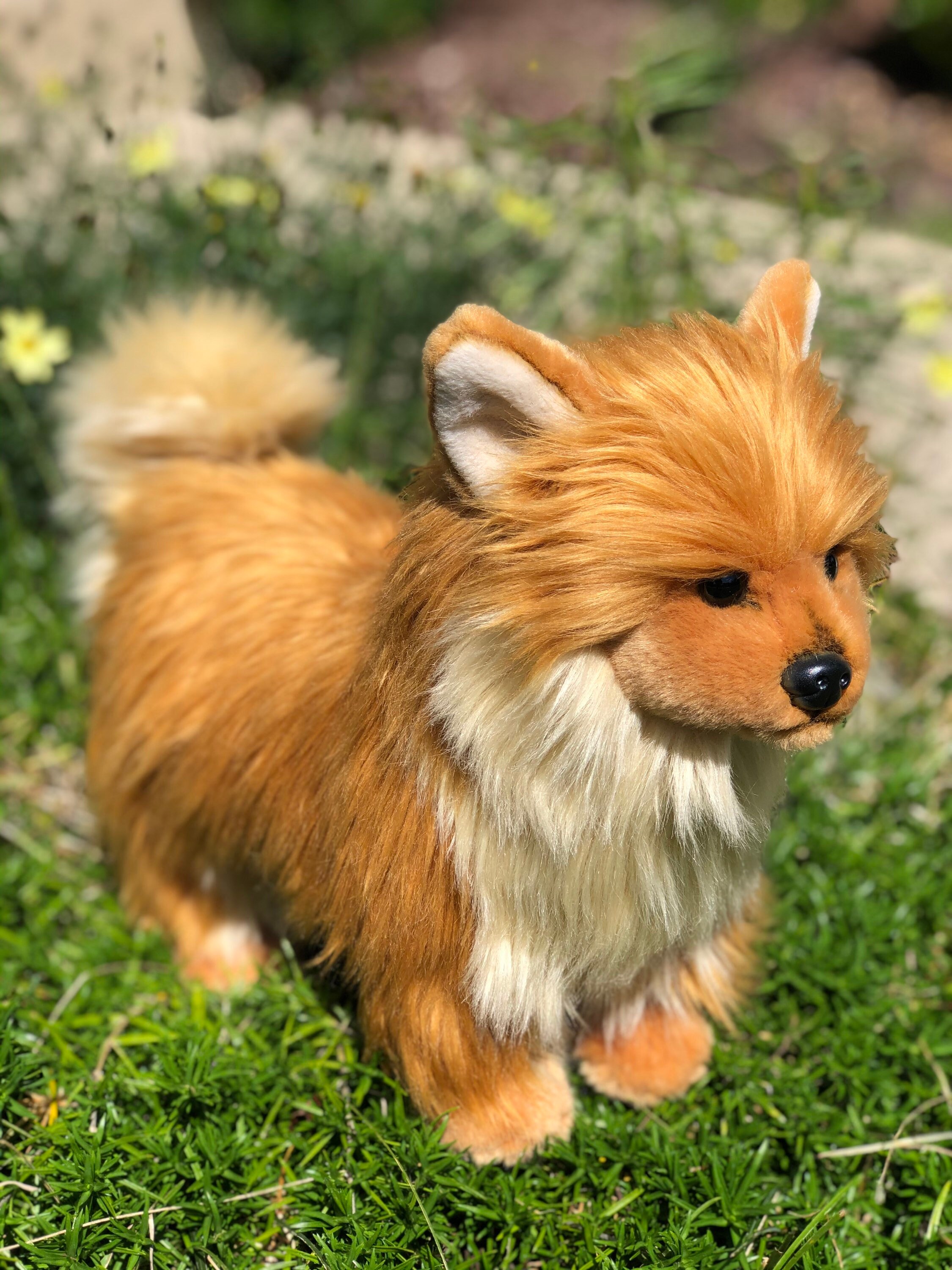pomeranian plush