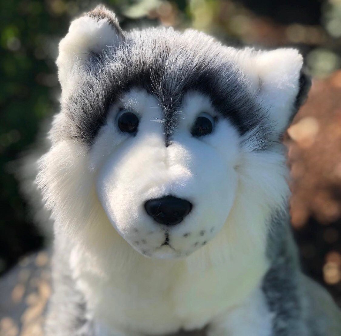 husky stuffed toy