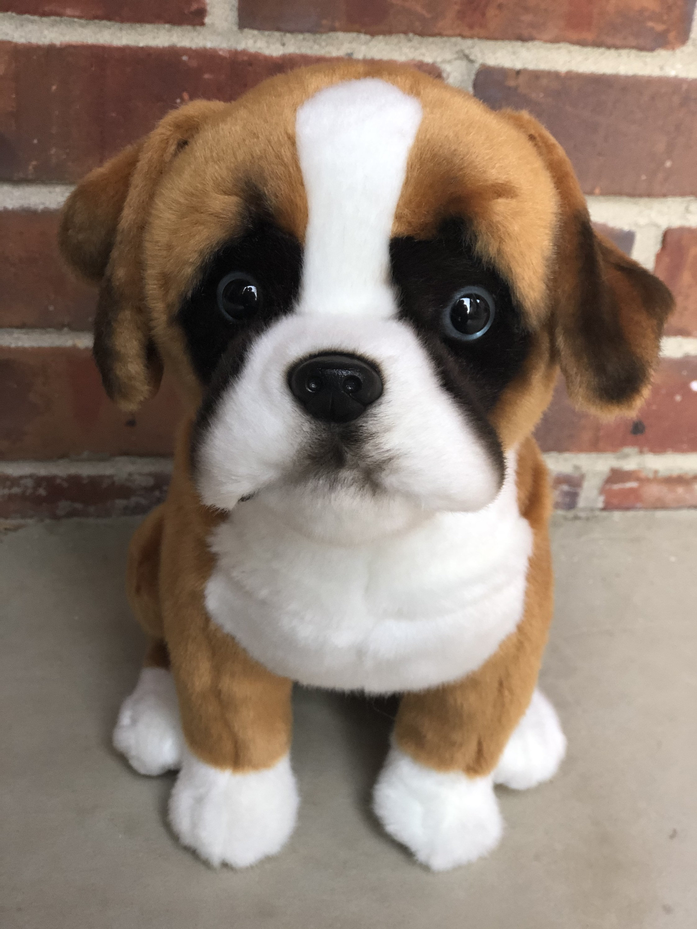 boxer soft toy