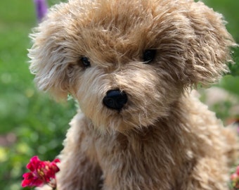 goldendoodle stuffed toy