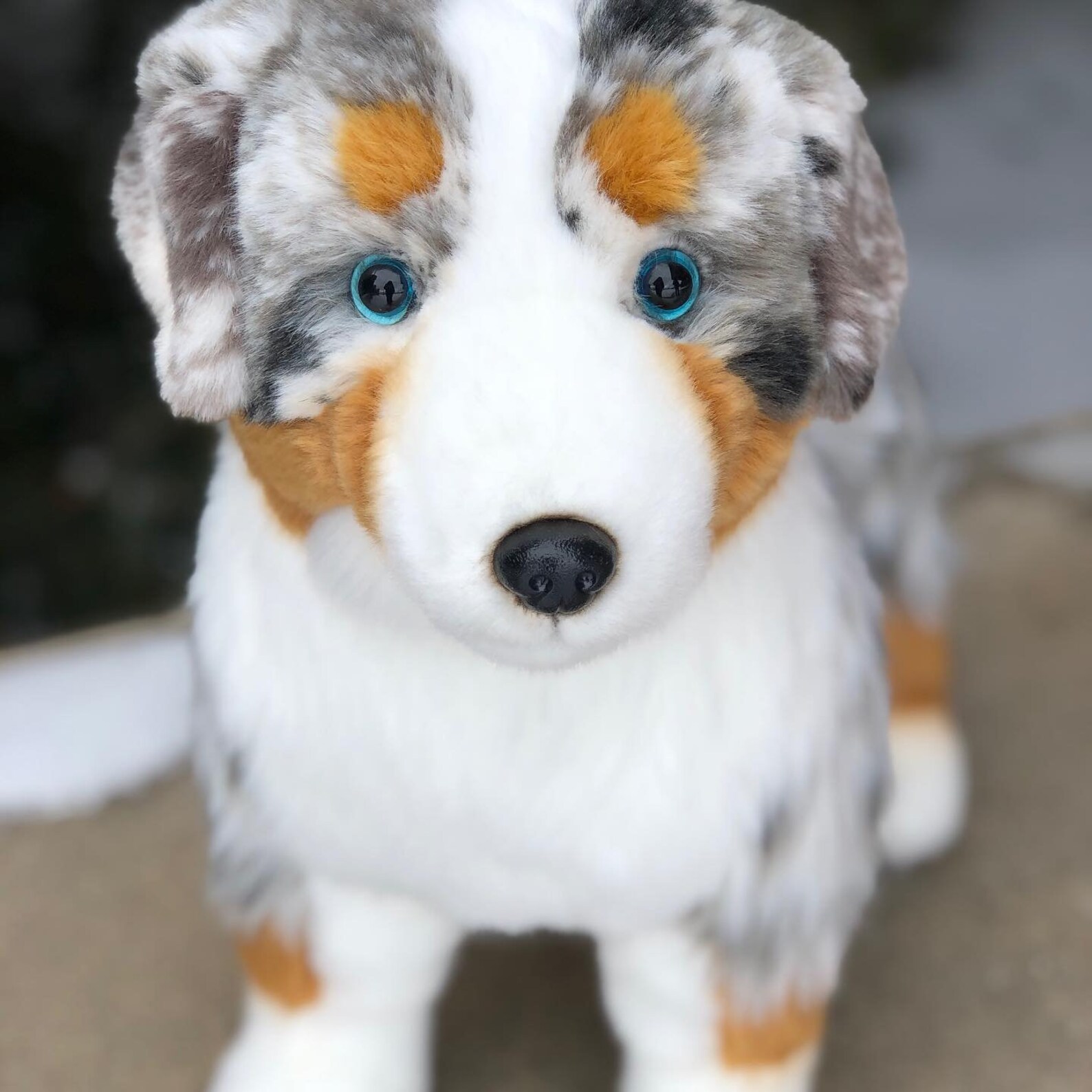 Australian Shepherd Plush Puppy Dog Stuffed Animal Etsy
