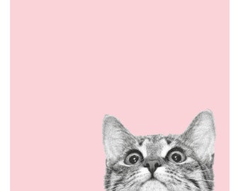 Postkarte Katze rosa