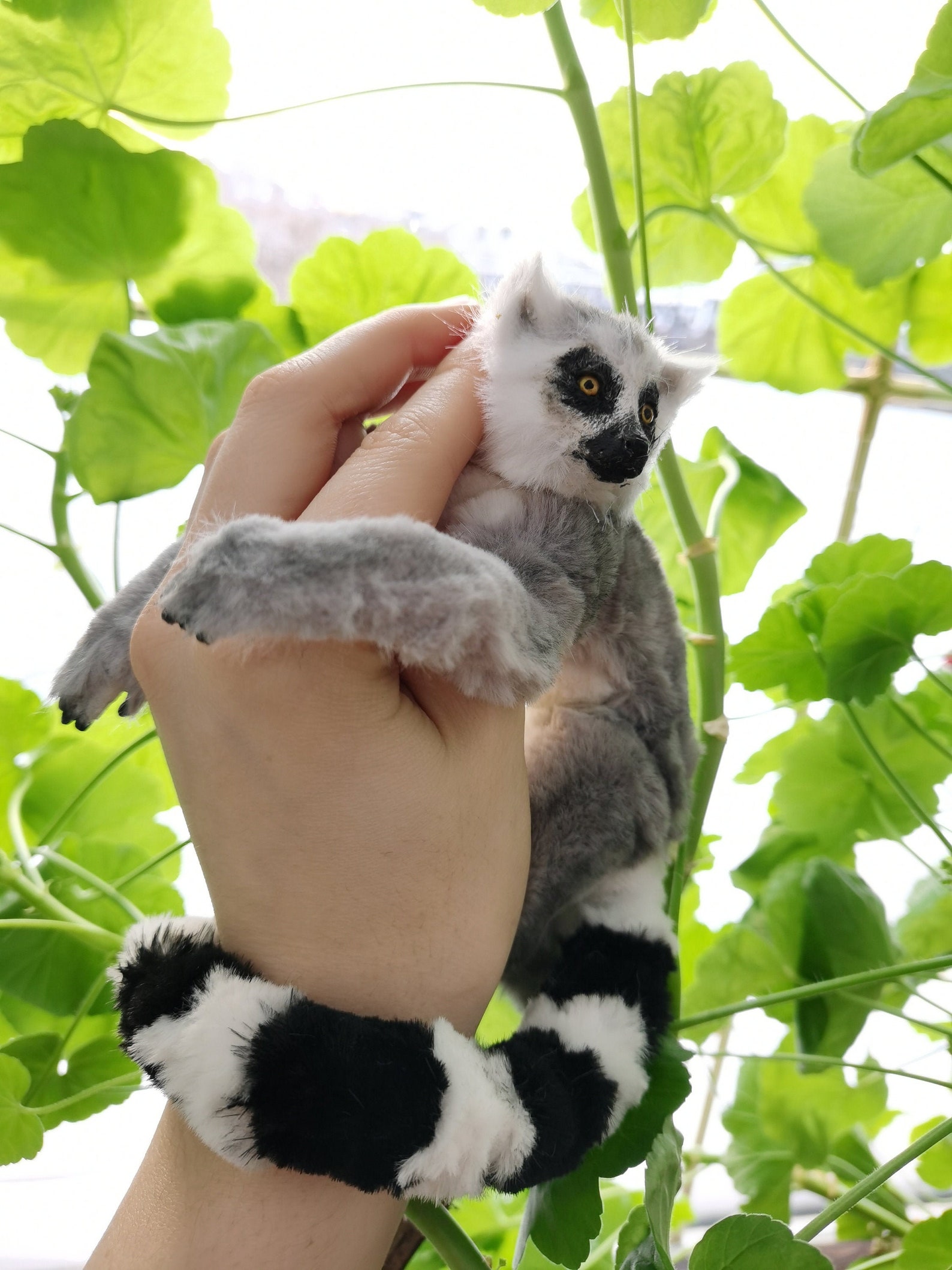 Ringtailed lemur catta realistic animal stuffed OOAK artdoll Etsy
