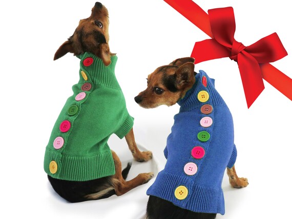 green dog sweater