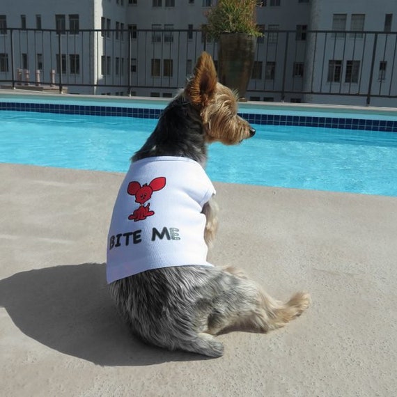 dog apparel stores near me