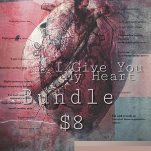 Ich gebe dir mein Herz-Bundle