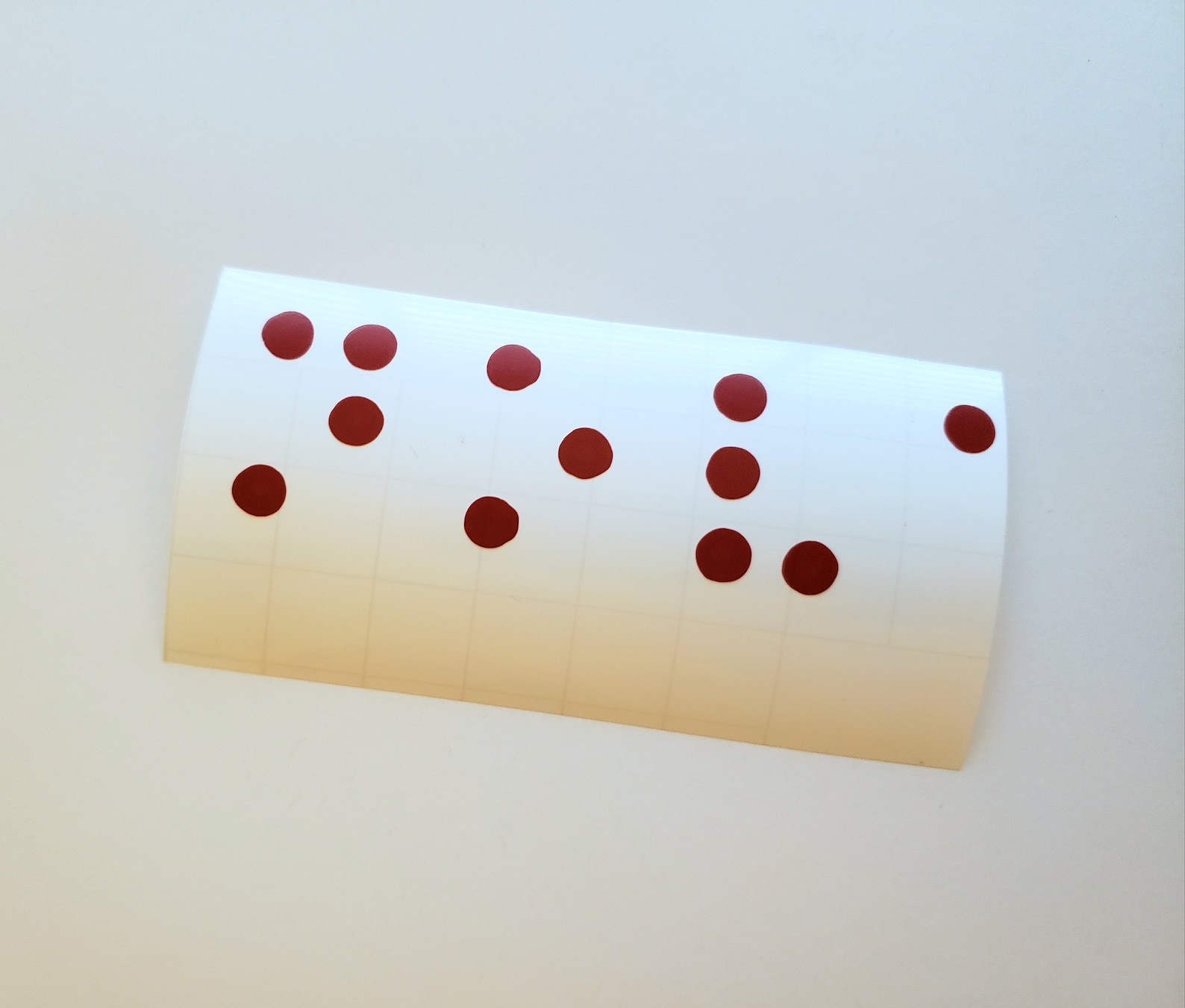 Braille Name Vinyl Decal Etsy