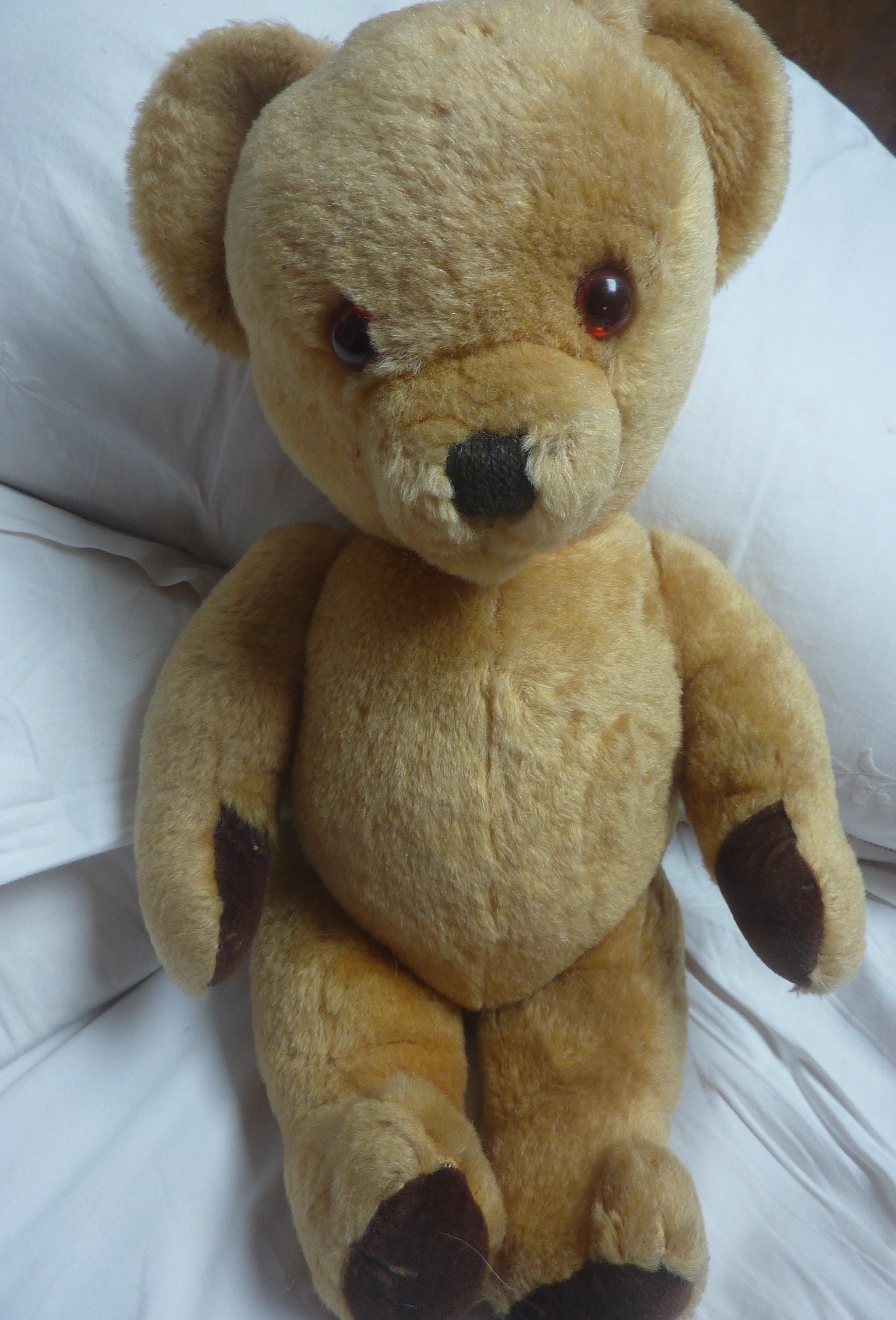1960s Pedigree Teddy - Etsy UK