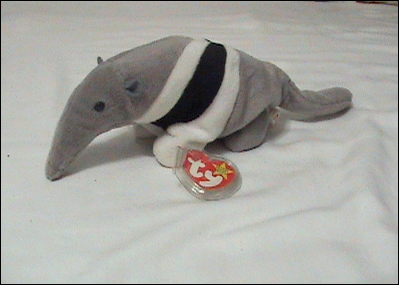 ants beanie baby