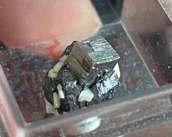 Pyrite on Rutile Paramorph after Brookite - Micromount Crystal - Magnet Cove, Arkansas
