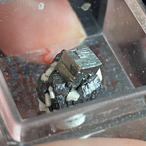 Pyrite on Rutile Paramorph after Brookite - Micromount Crystal - Magnet Cove, Arkansas