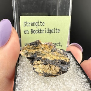 May include: A small, natural mineral specimen of Strengite on Rockbridgeite, displayed in a clear plastic case with a black base. The mineral has a mix of gold, brown, and black colors. The label reads "Strengite on Rockbridgeite".