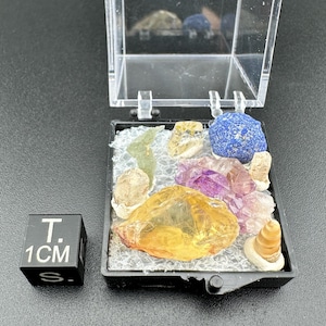 Colección de Cristales en Miniatura - Caja de 2,5 cm (1 pulgada) - Moldavita, Amatista, Piedra del Sol, Concha, Azurita, Cuarzo