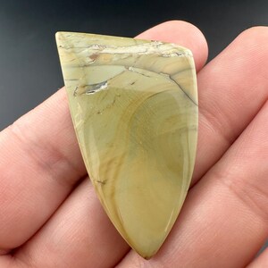 Blue Mountain Jasper - Polished Cabochon - Oregon